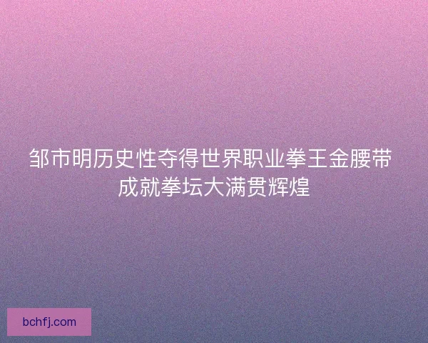 邹市明历史性夺得世界职业拳王金腰带 成就拳坛大满贯辉煌