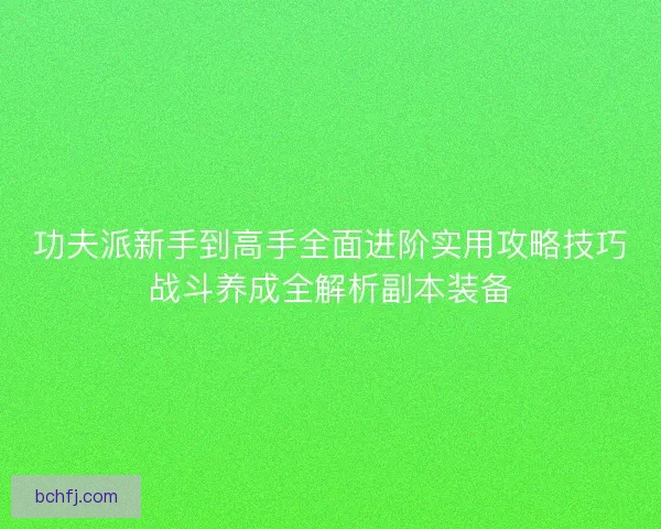 功夫派新手到高手全面进阶实用攻略技巧战斗养成全解析副本装备